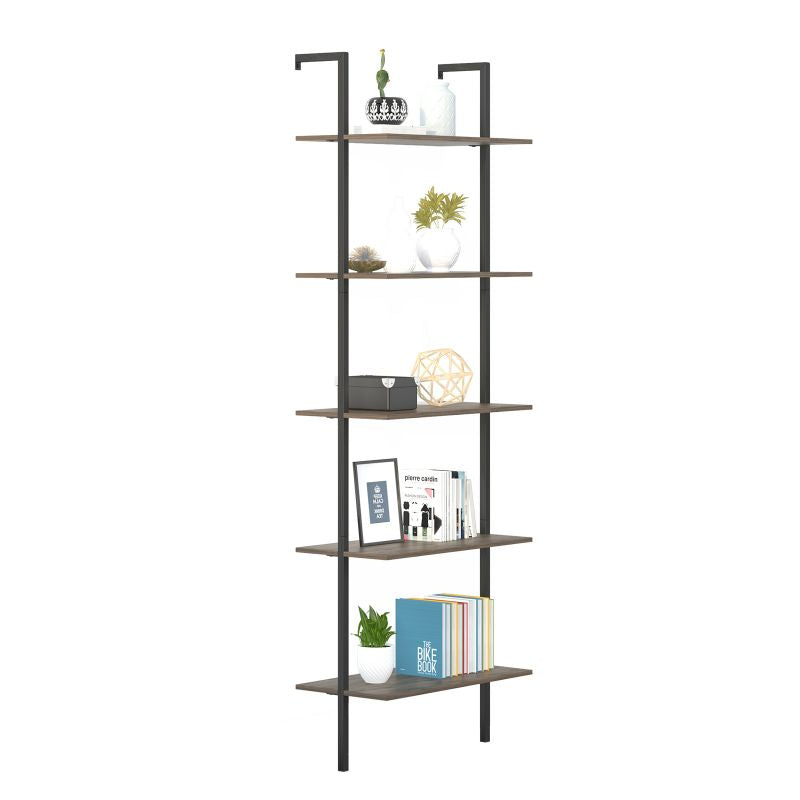 Cecer 5 Tier Storage Bookshelf Ladder Shelf
