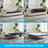 Puremind 2-in-1 Pull Out Sofa Bed,Velvet Sleeper Sofa Couch with Folding Foam Mattress, Loveseat Sleeper Bed with USB & Cup Holders,Pull Out Couch Bed for Living Room/Small Space