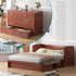 Puremind Queen Size Murphy Bed with Mattress, Murphy Cube Cabinet Bed with USB Charging Station and Large Storage Drawer, Murphy Chest Bed for Guest Room/Home/Office