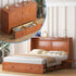 Puremind Queen Size Murphy Bed with Mattress Included, Cabinet Bed with USB Charging Ports and Drawer for Guest Room/Home/Office