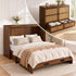 Puremind Queen Size Rattan Murphy Bed with Mattress, Hideaway Cabinet Bed with Charging Port and Storage Drawer for Home/Office