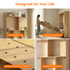 Puremind Queen Size Murphy Bed, Wood Foldable Wall Bed Frame, Storage Cabinet Bed for Bedroom/Office, Space-Saving, No Box Spring Needed