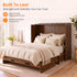 Puremind Queen Size Rattan Murphy Bed with Mattress, Hideaway Cabinet Bed with Charging Port and Storage Drawer for Home/Office