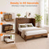 Puremind Queen Size Rattan Murphy Bed with Mattress, Hideaway Cabinet Bed with Charging Port and Storage Drawer for Home/Office