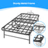 Puremind Folding Bed with 5 Inch Foam Mattress, 75"x31" Rollaway Bed for Adults/Guests, Space Saving Portable Bed, Easy Assembly & Moving
