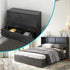 Cecer Queen Size Murphy Cabinet Bed with USB Charging Station&Folding Foam Mattress for Bedroom/Apartment/Living Room